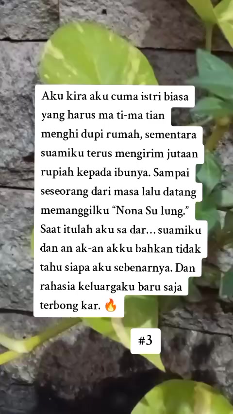 @senyumkata