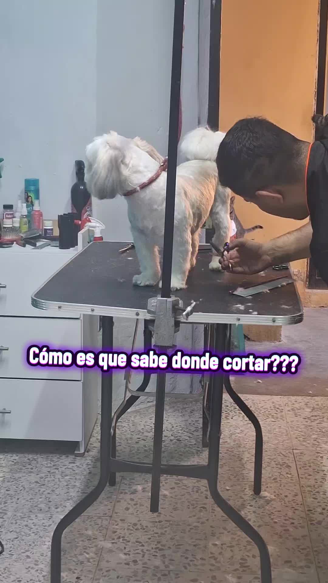 @erika