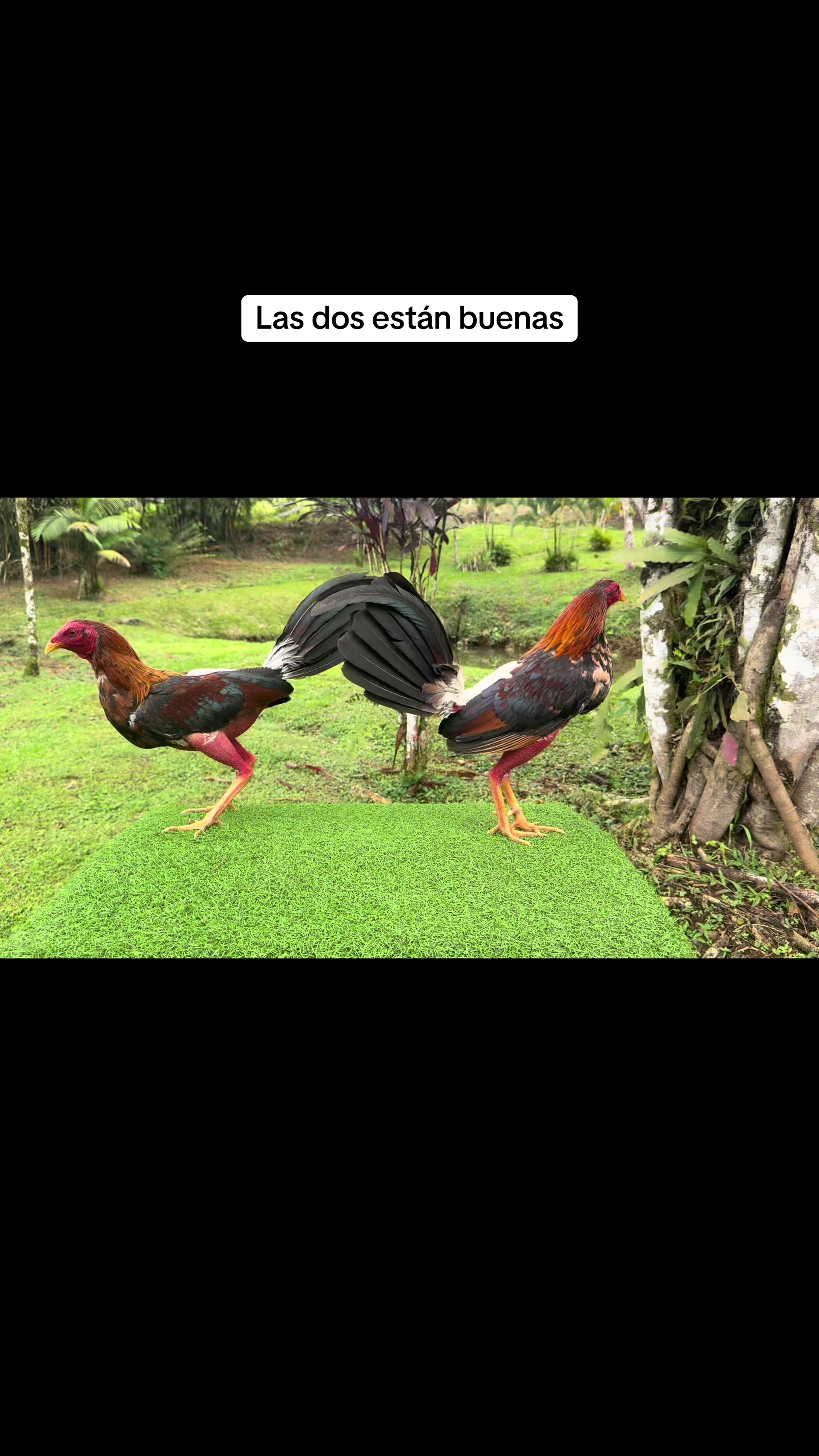 @Hern&aacute;n Andres