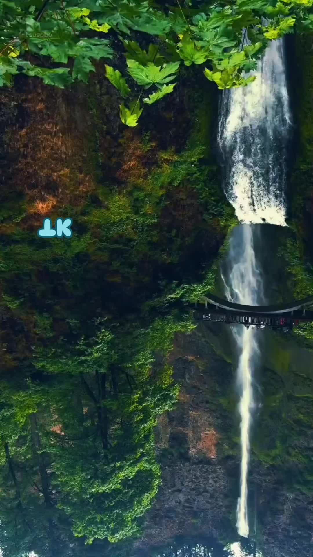 @❤️ TK ❤️