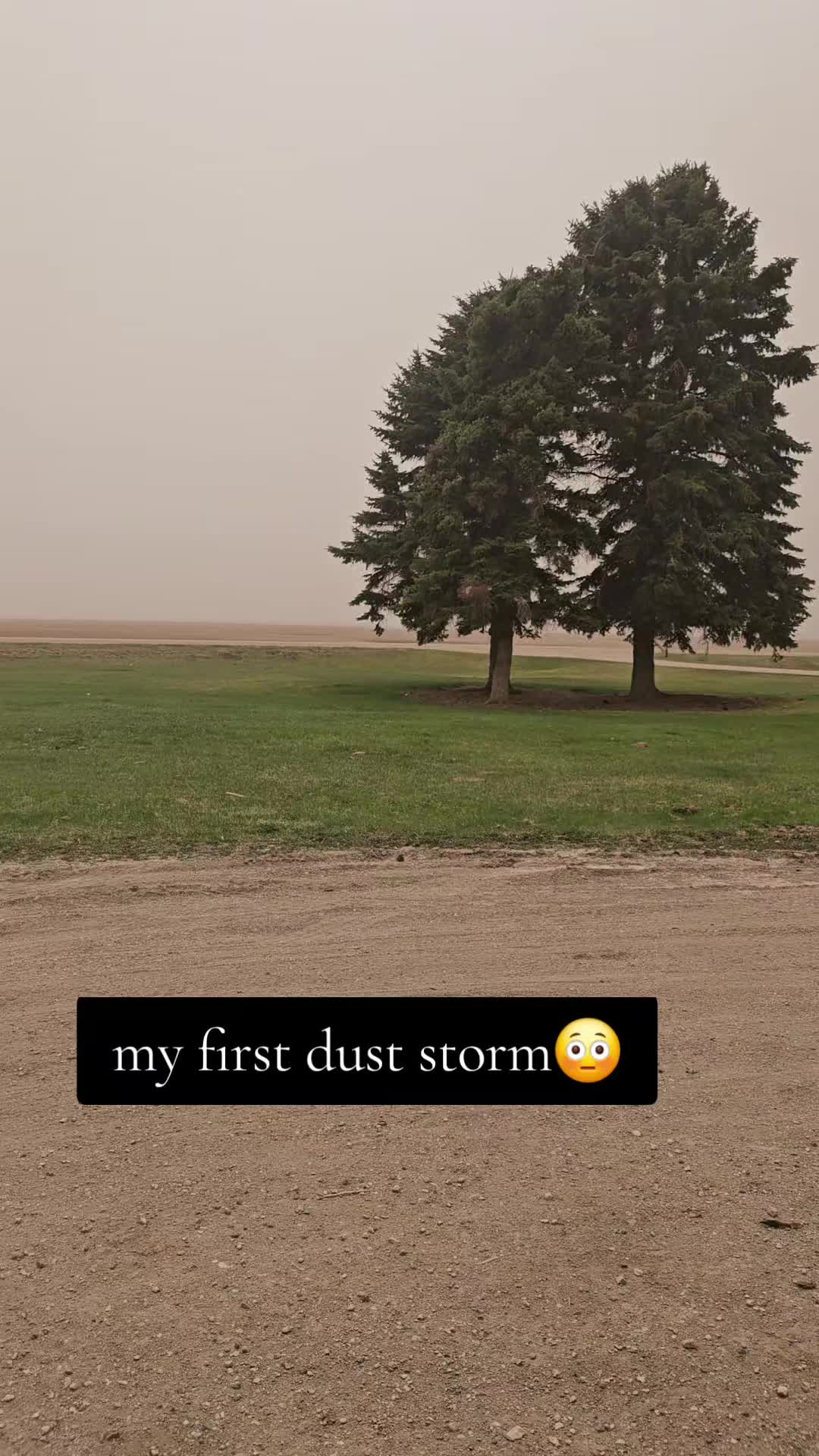 @Dakotafunnyfarm