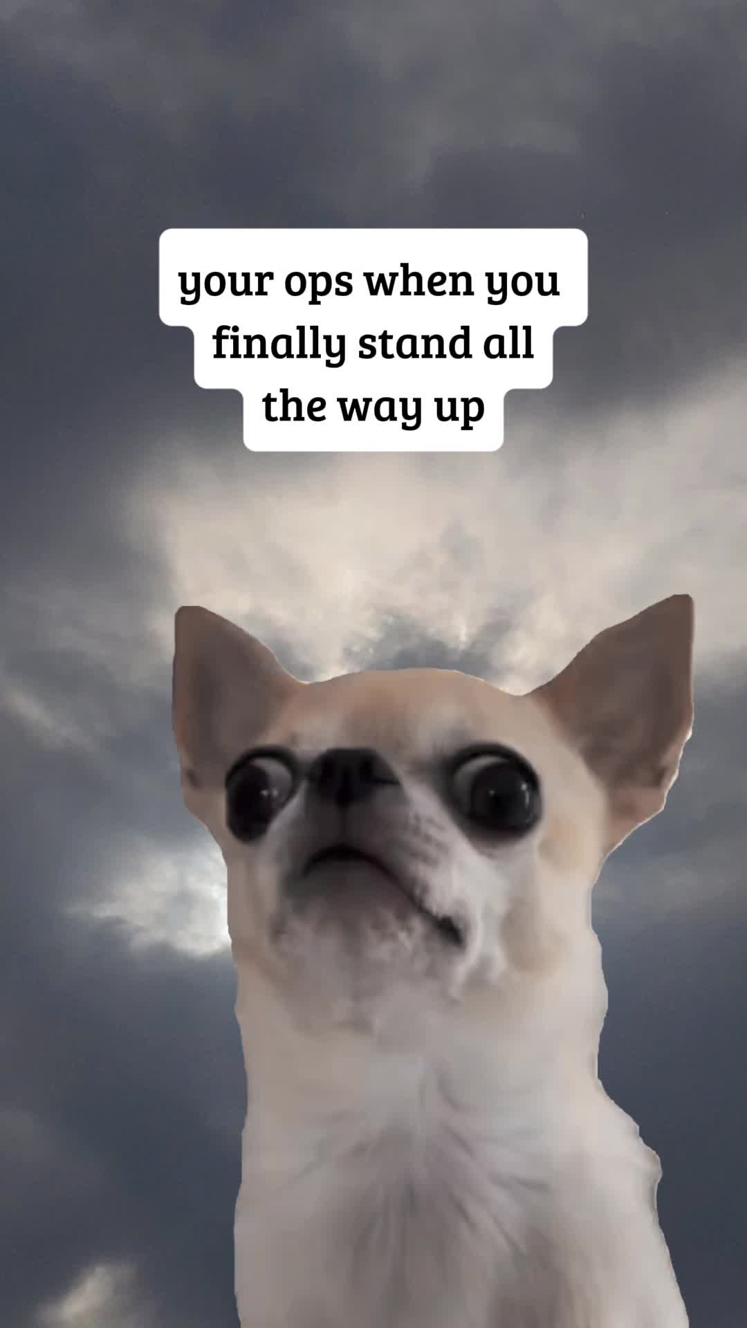 @TheBodyOwl.com