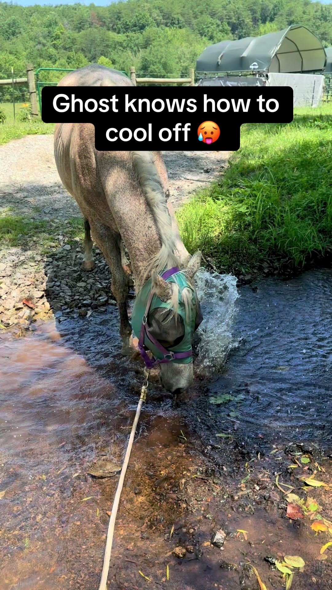 @Sober farmer & nature lover