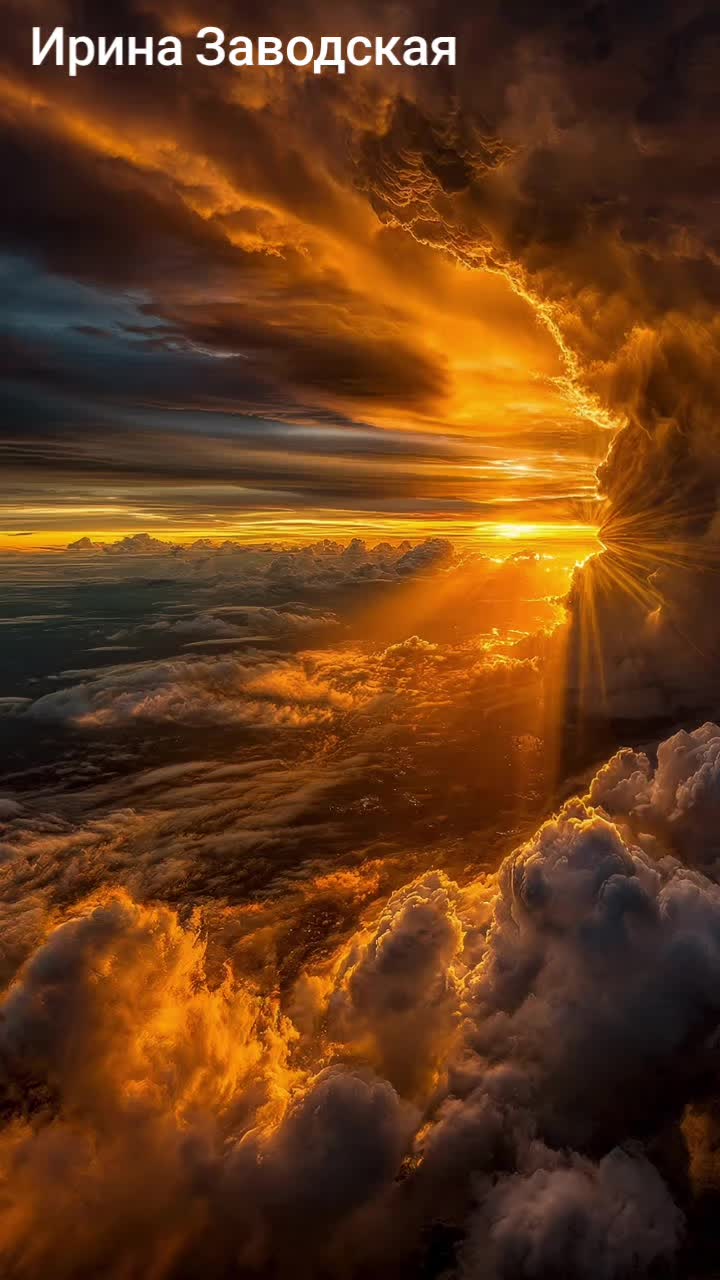 @Нинель