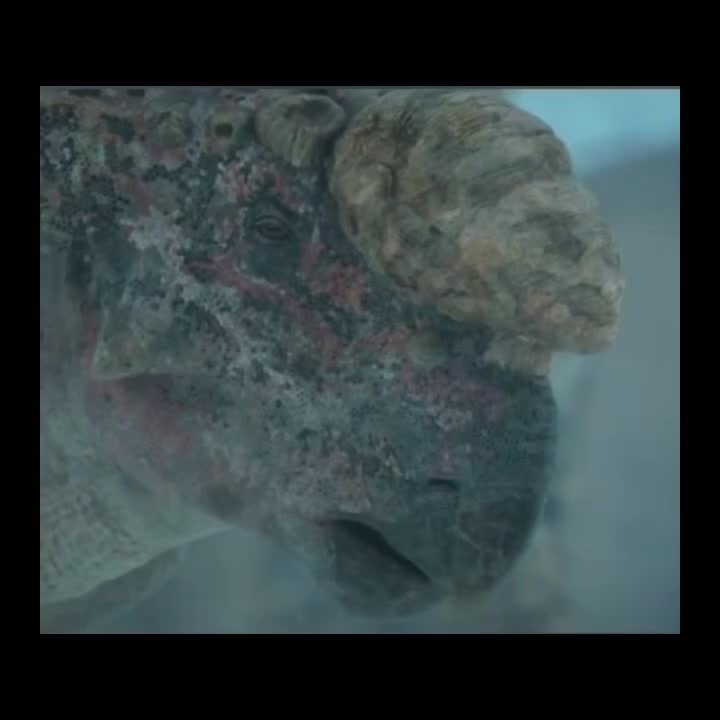 @Inosuke魁凱♤