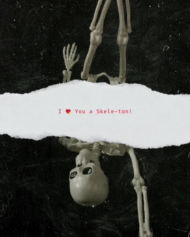 @𝑭ox & the 𝓑at 𝕄edia 🇨🇦