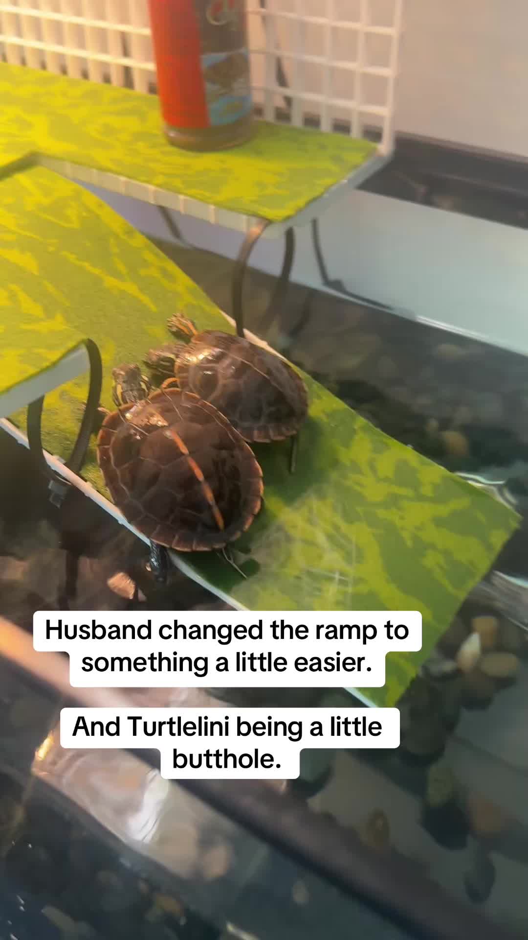 @JaimeLyn