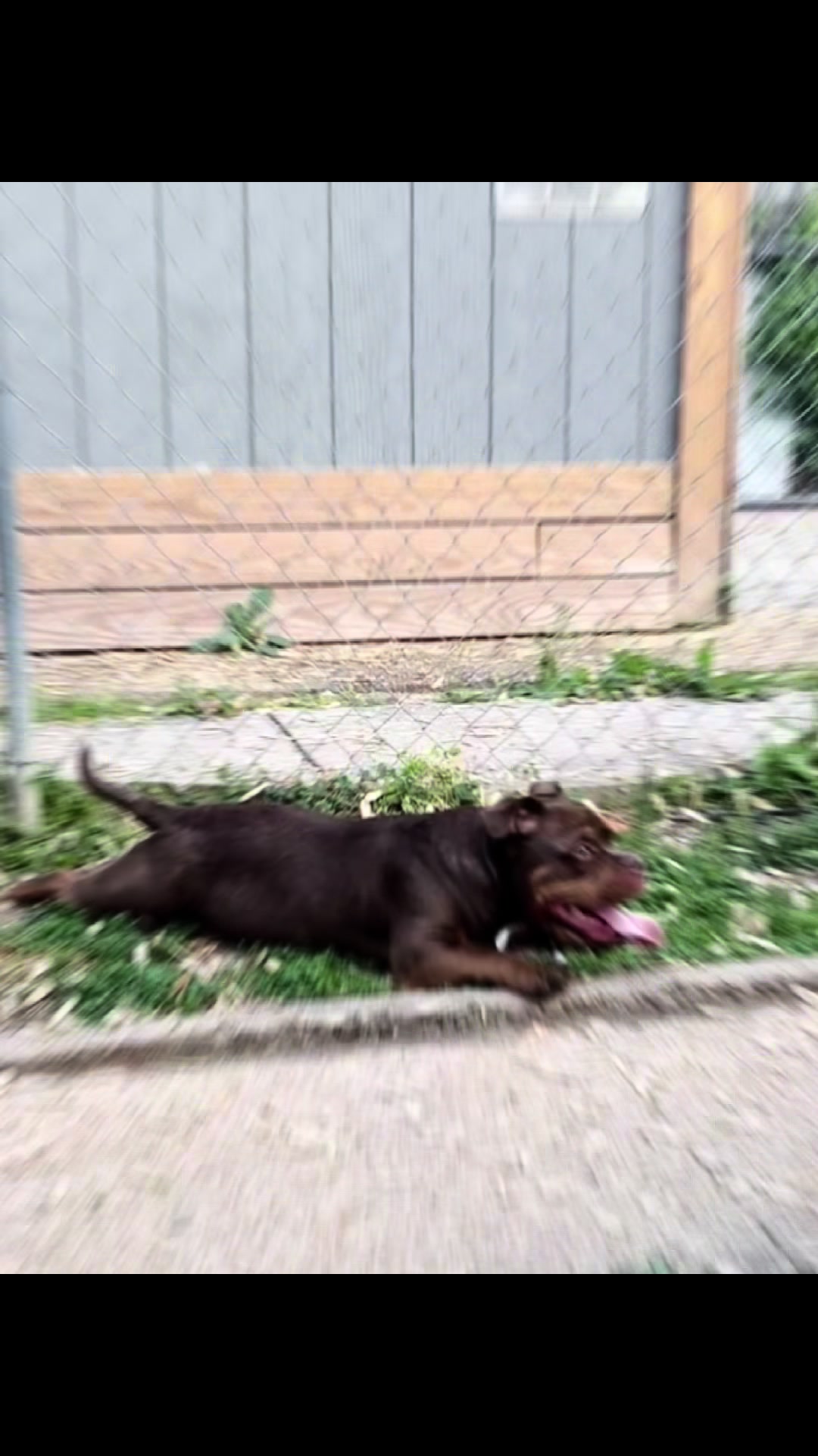 @🦋Marý🦋Mj🦋