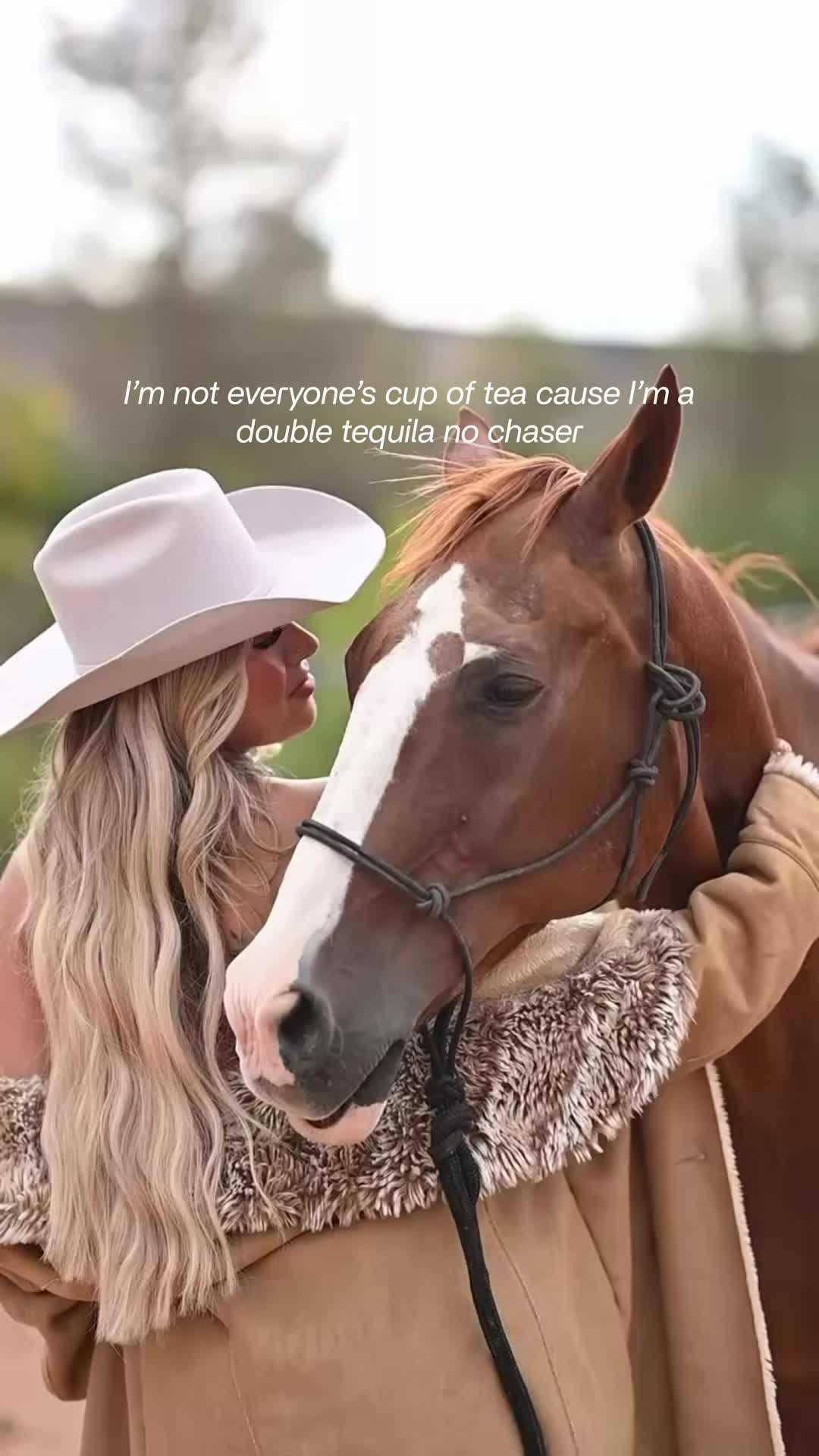 @Utah | Waxing | CEO | Horses
