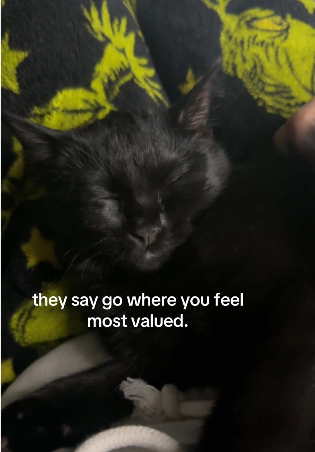 @ri