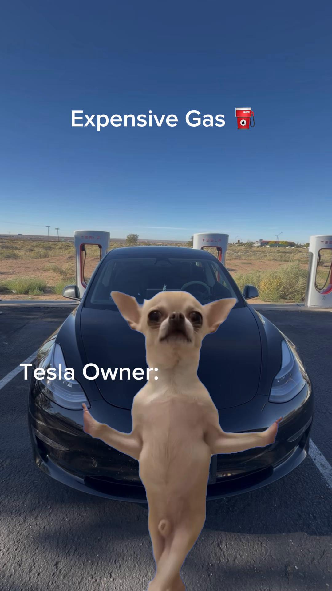 @tesla.for.everyone