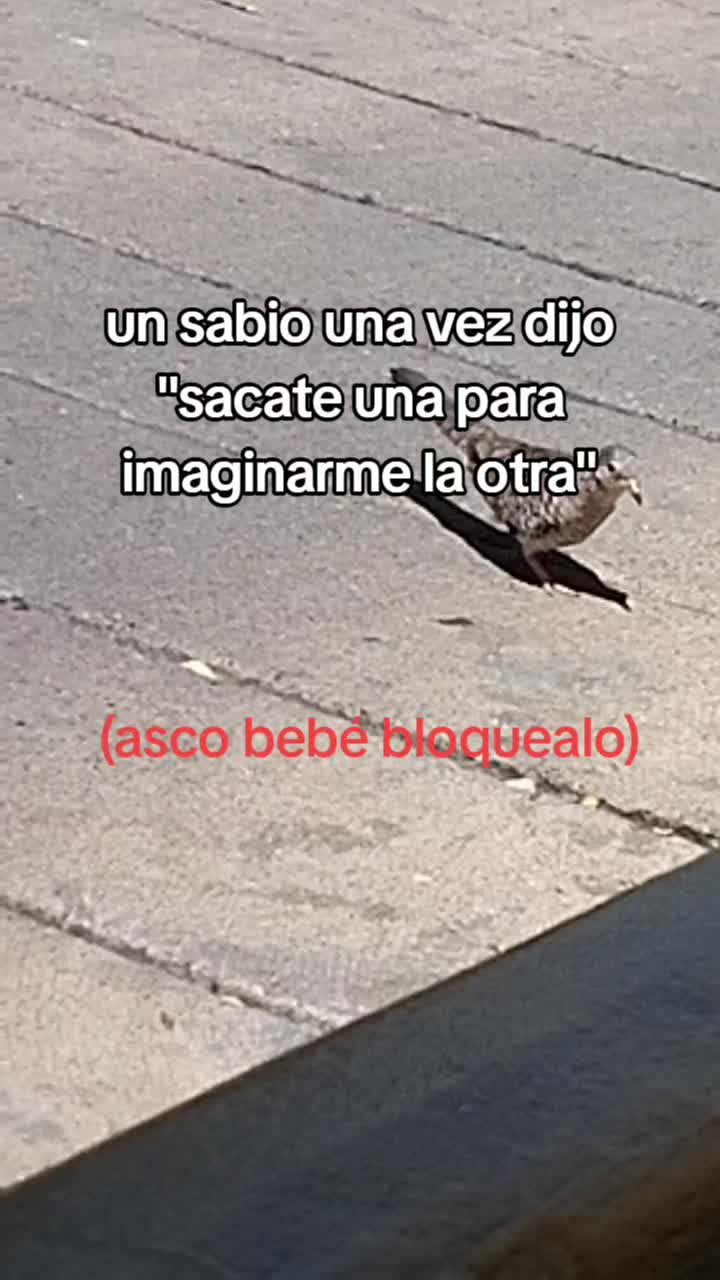 @Jose 🤙