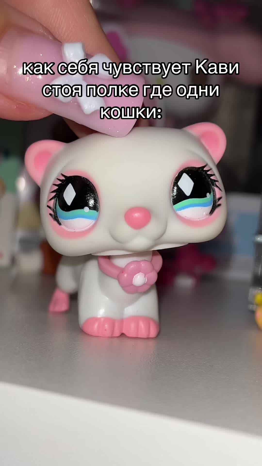 @젠틀 카비🎀