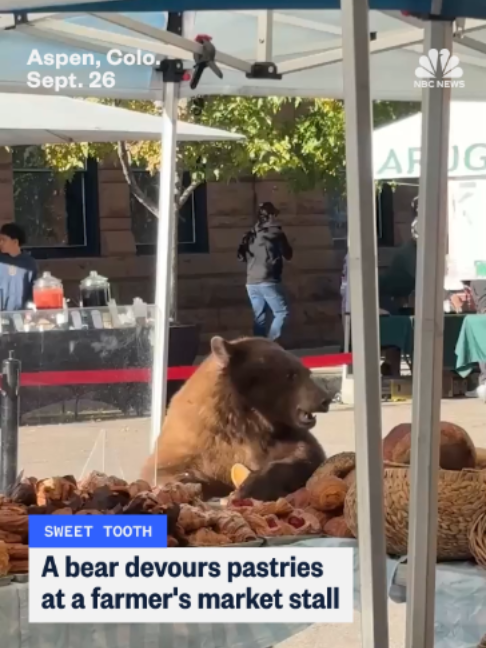 @nbcnews