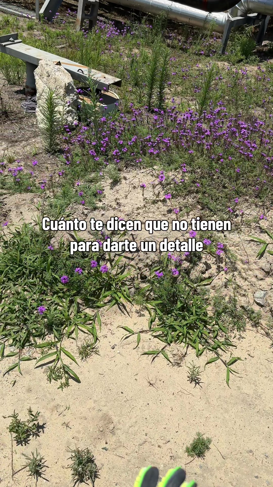@bluecollar.gordita10 👷🏻&zwj;♀️🦺
