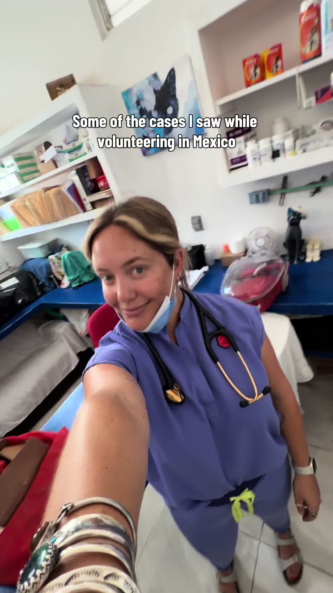 @heyamigainvetschool