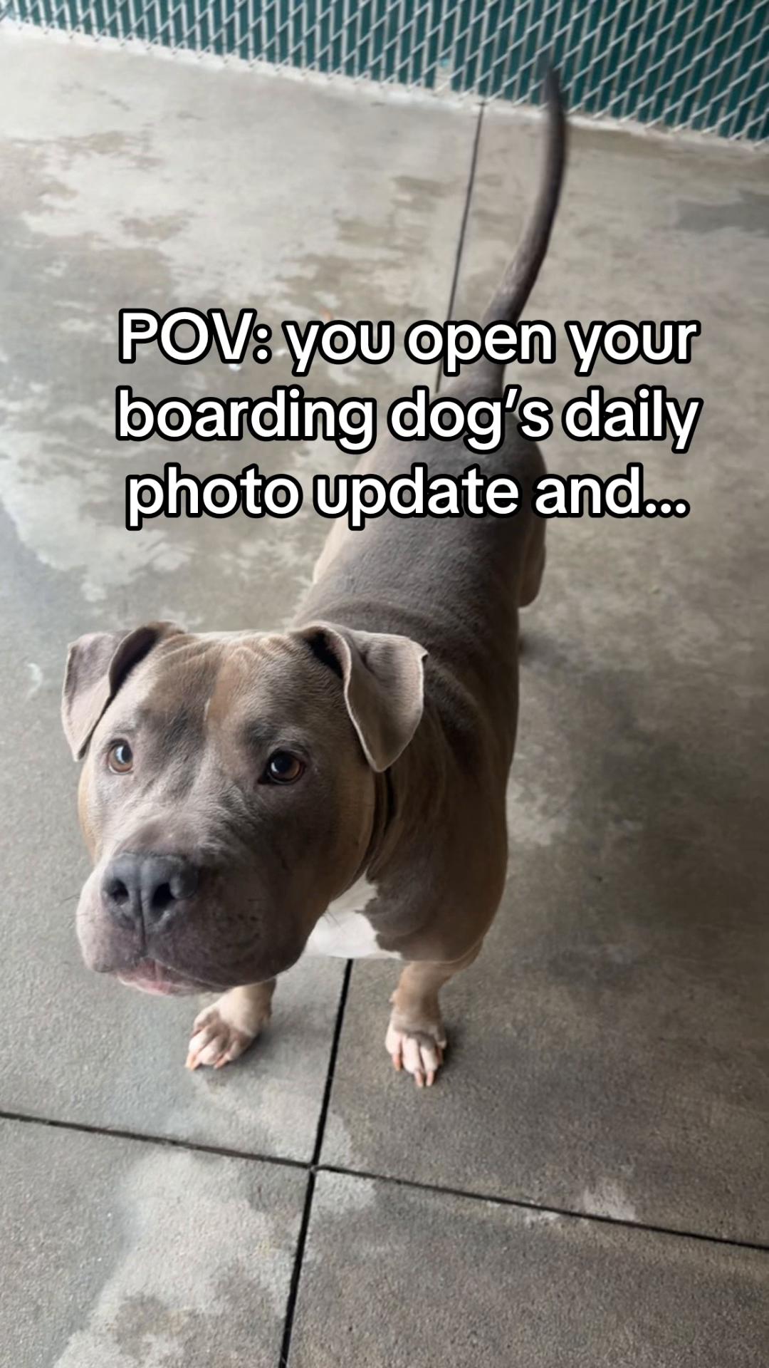 @GoDog Durham