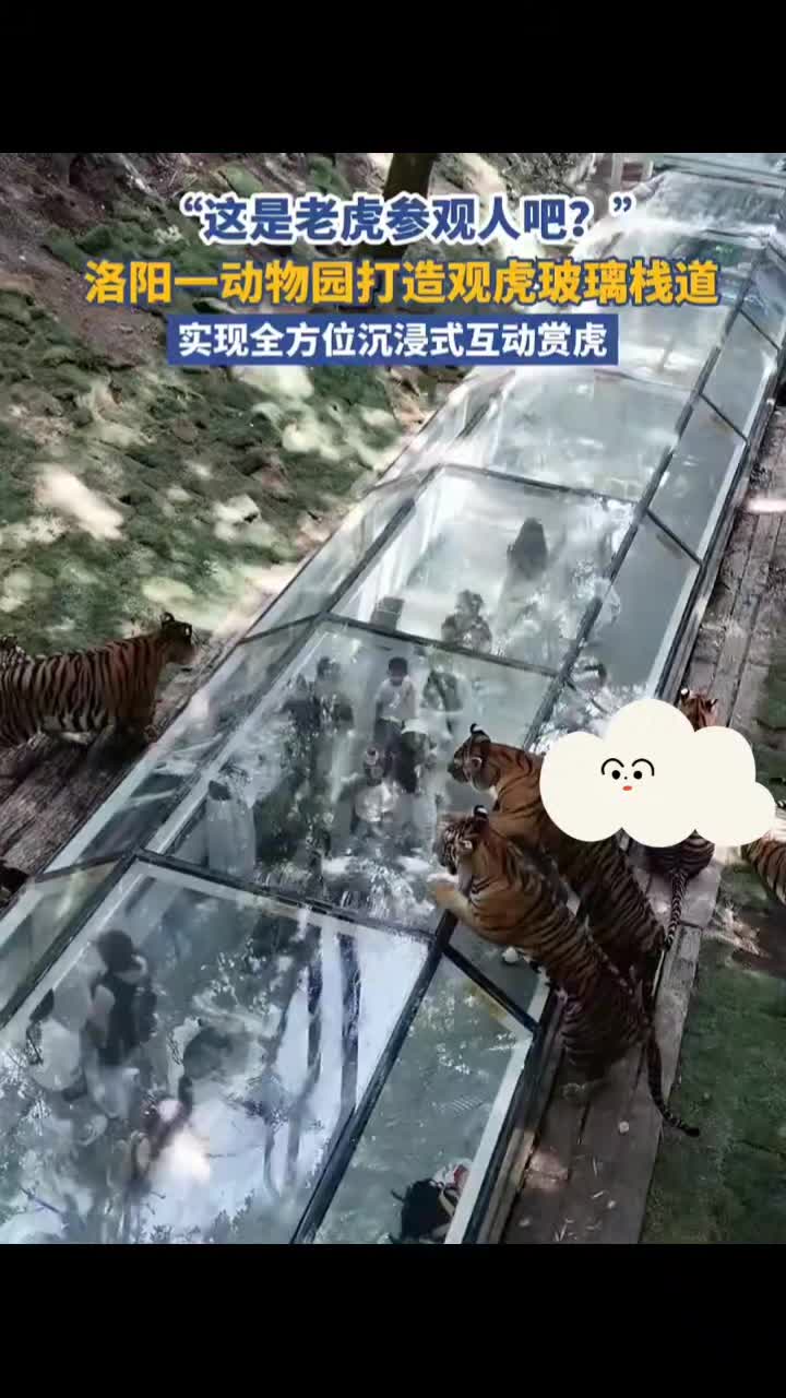 @18号
