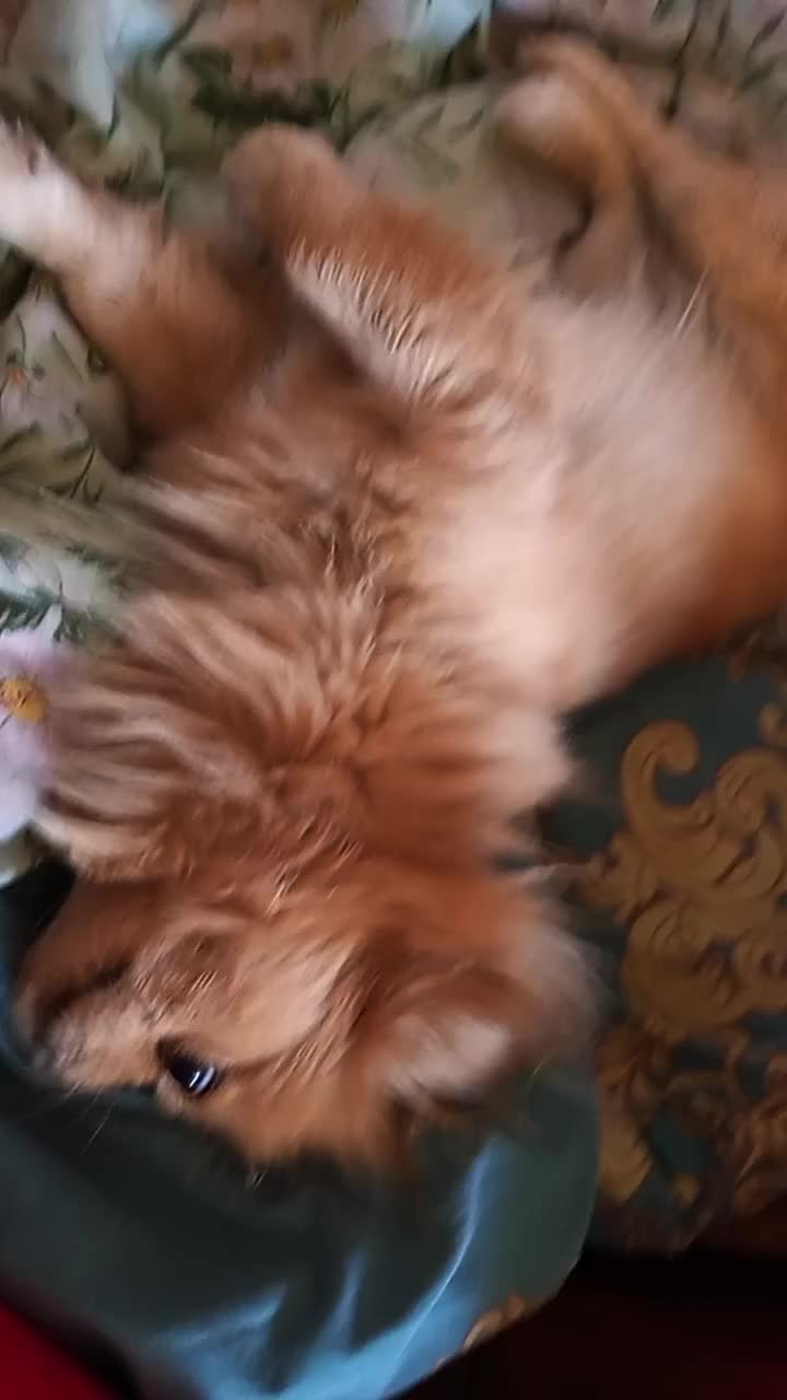 @Мальвинка 💖🌺💓