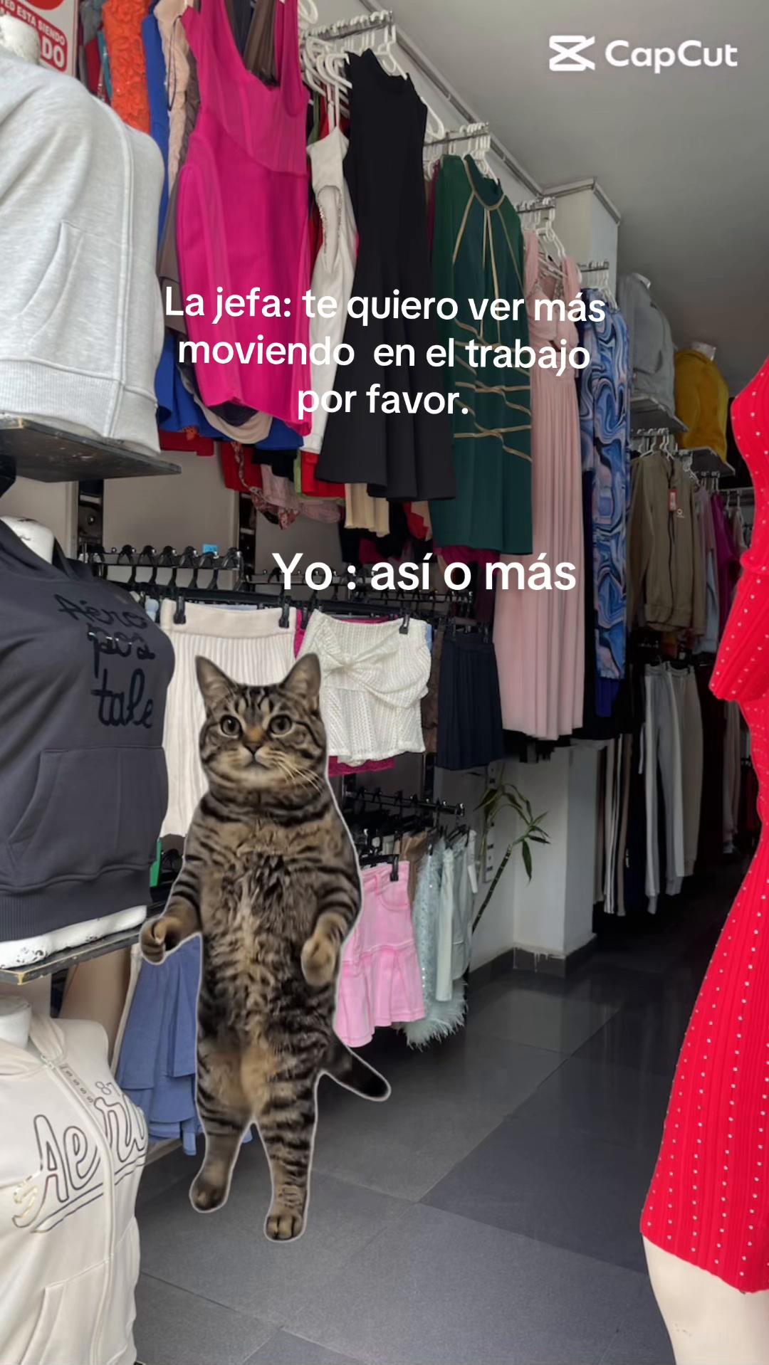 @El Toke_Shop