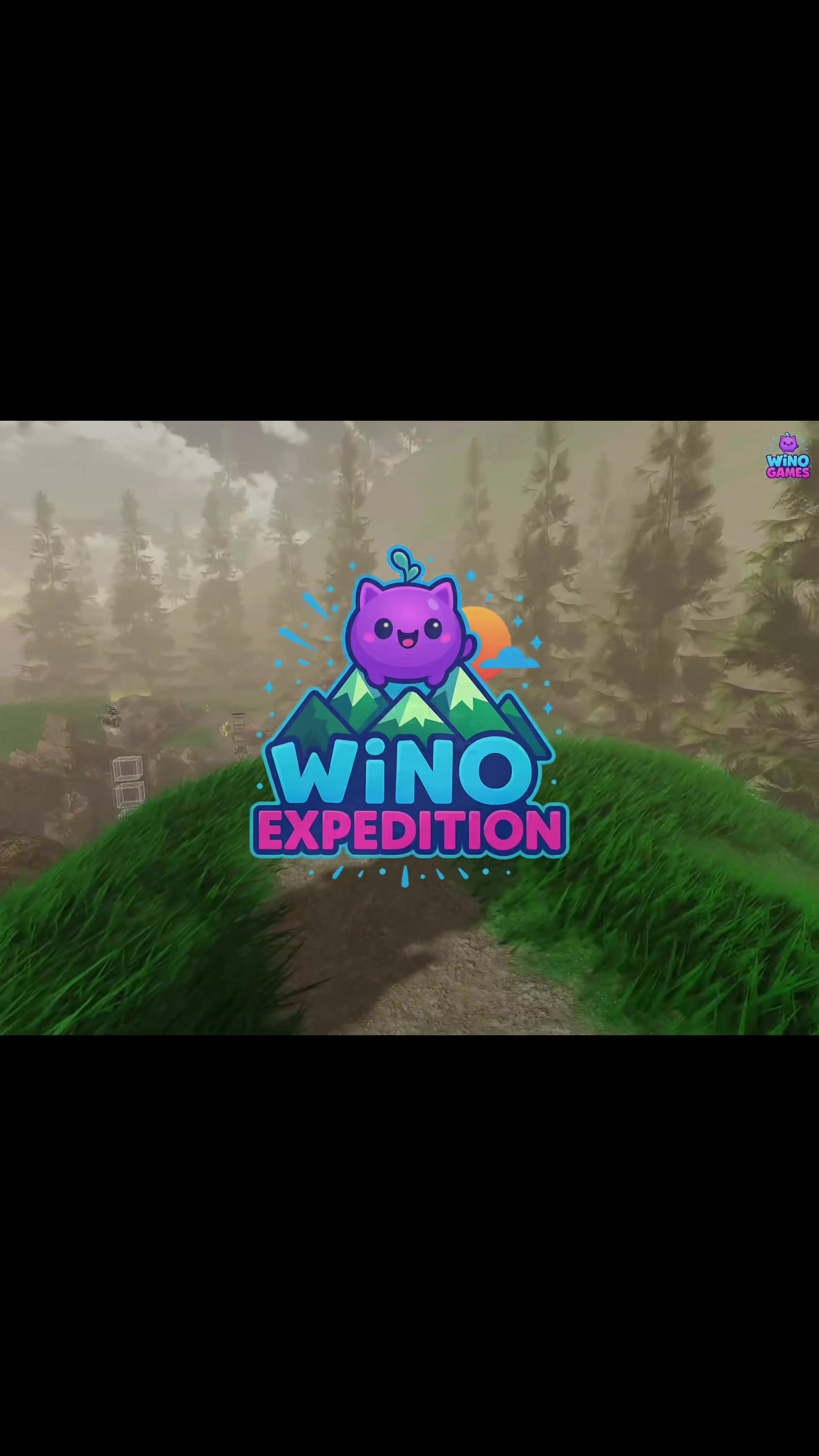 @Wiko