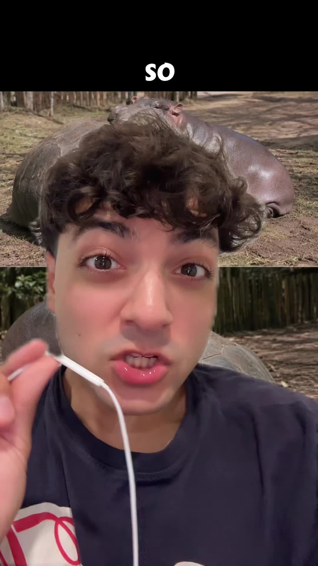 @Sbladn