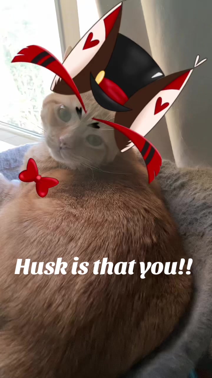 @LuciferMorningstar