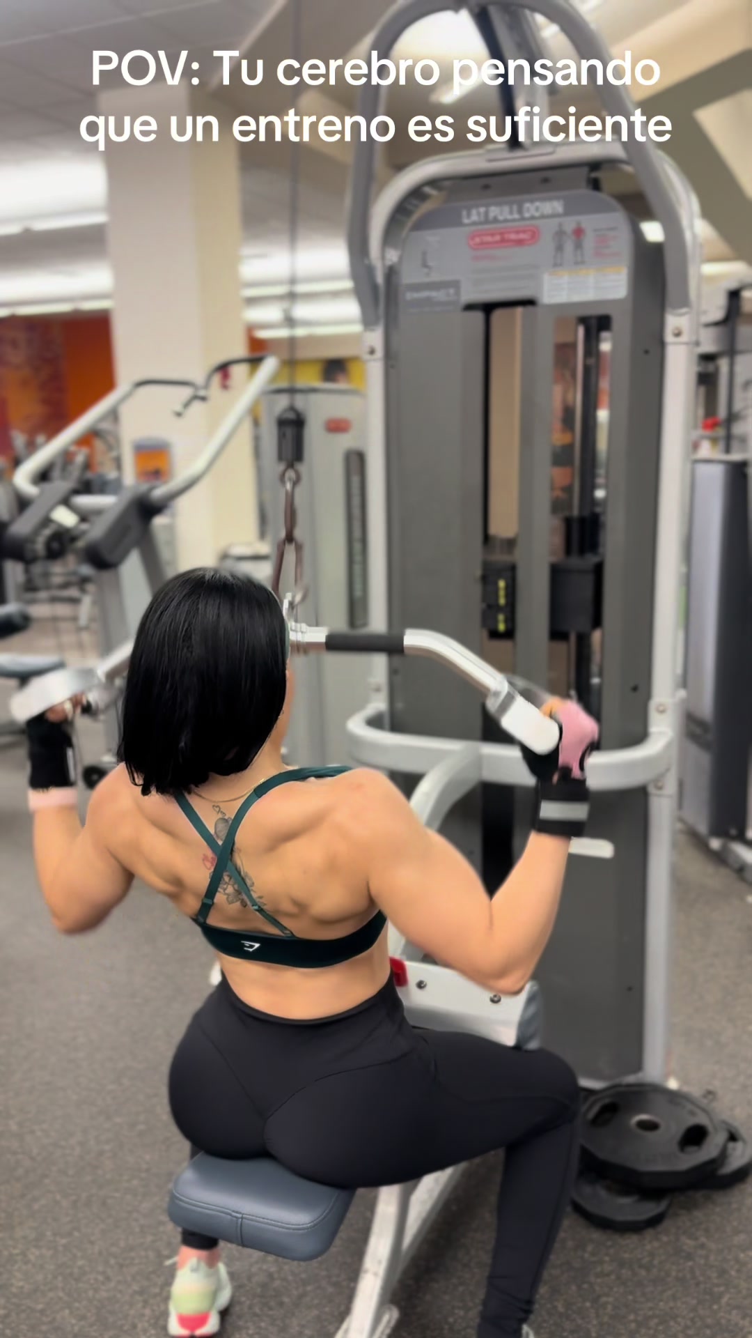 @Tausert_xiifitness
