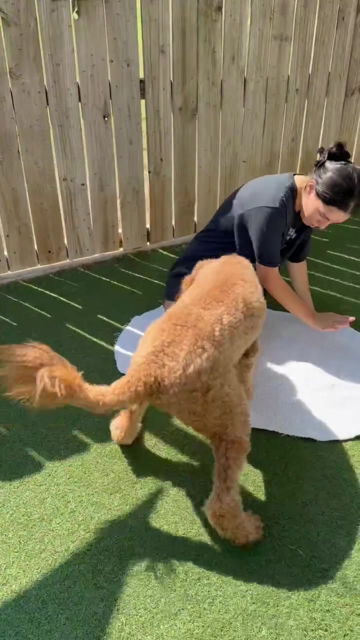 @@mountpleasantavenue