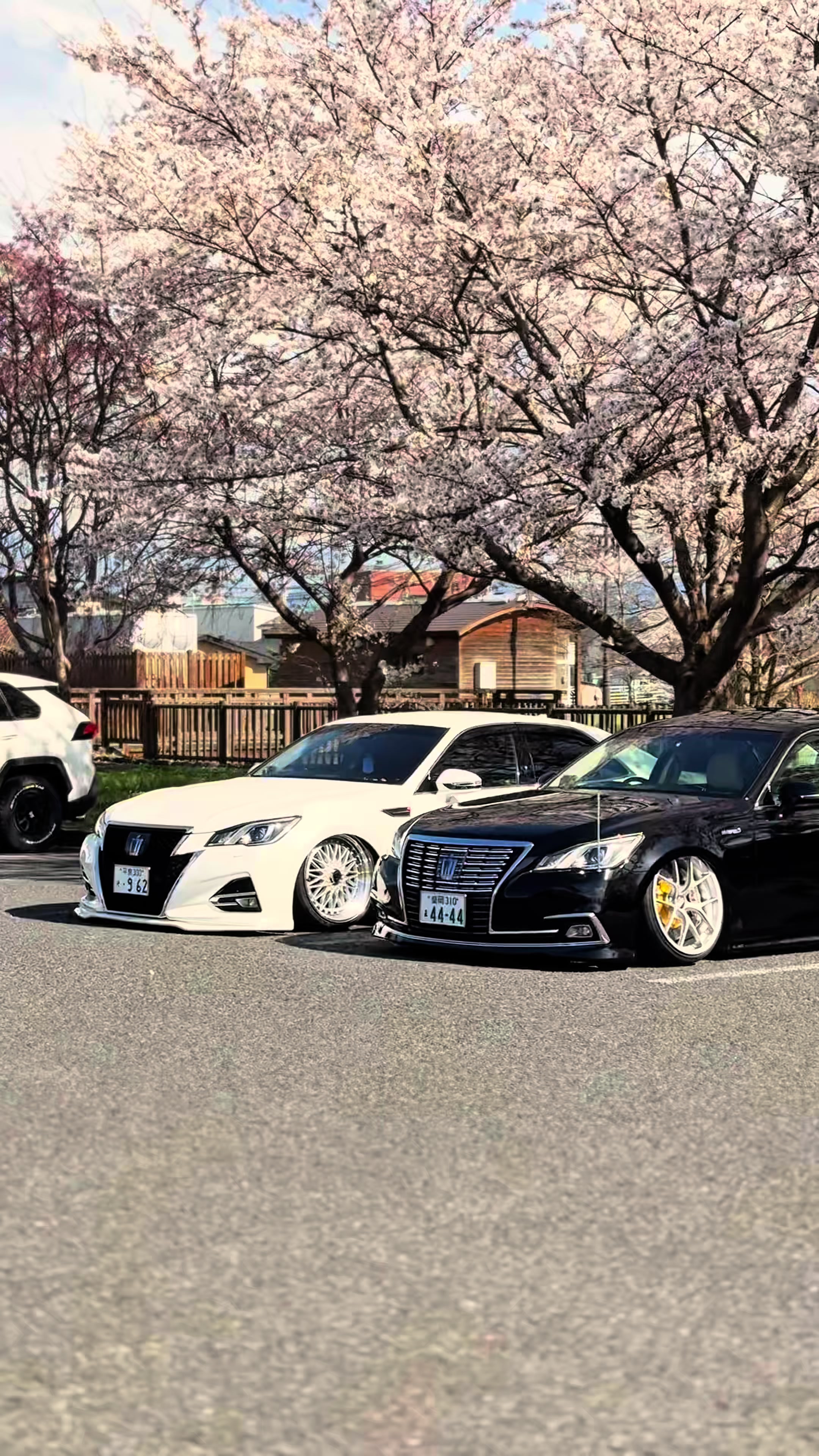 @ã¿ã¡ã¯ã©ðð»