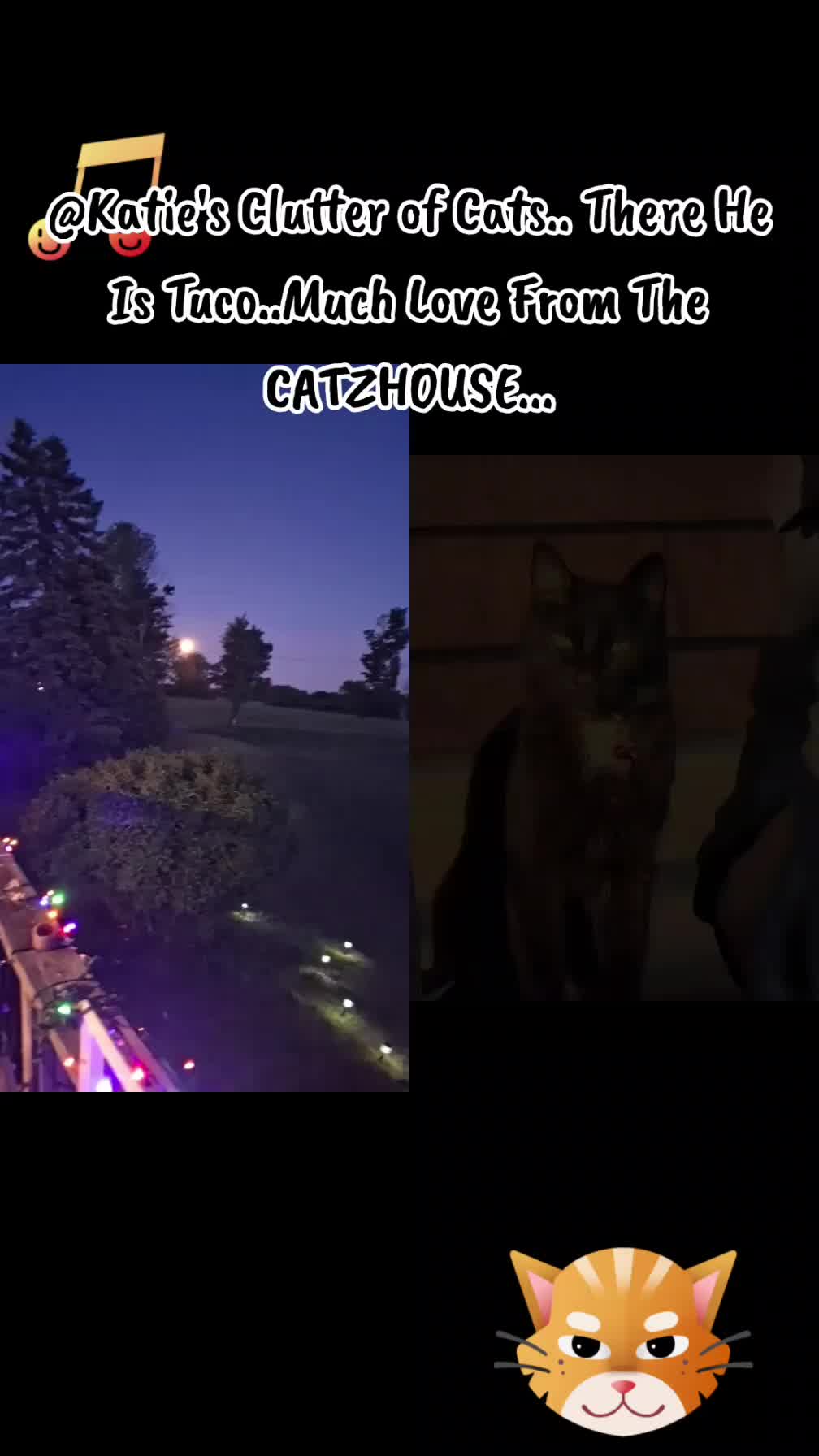 @Booh Hovey crazycatlady3