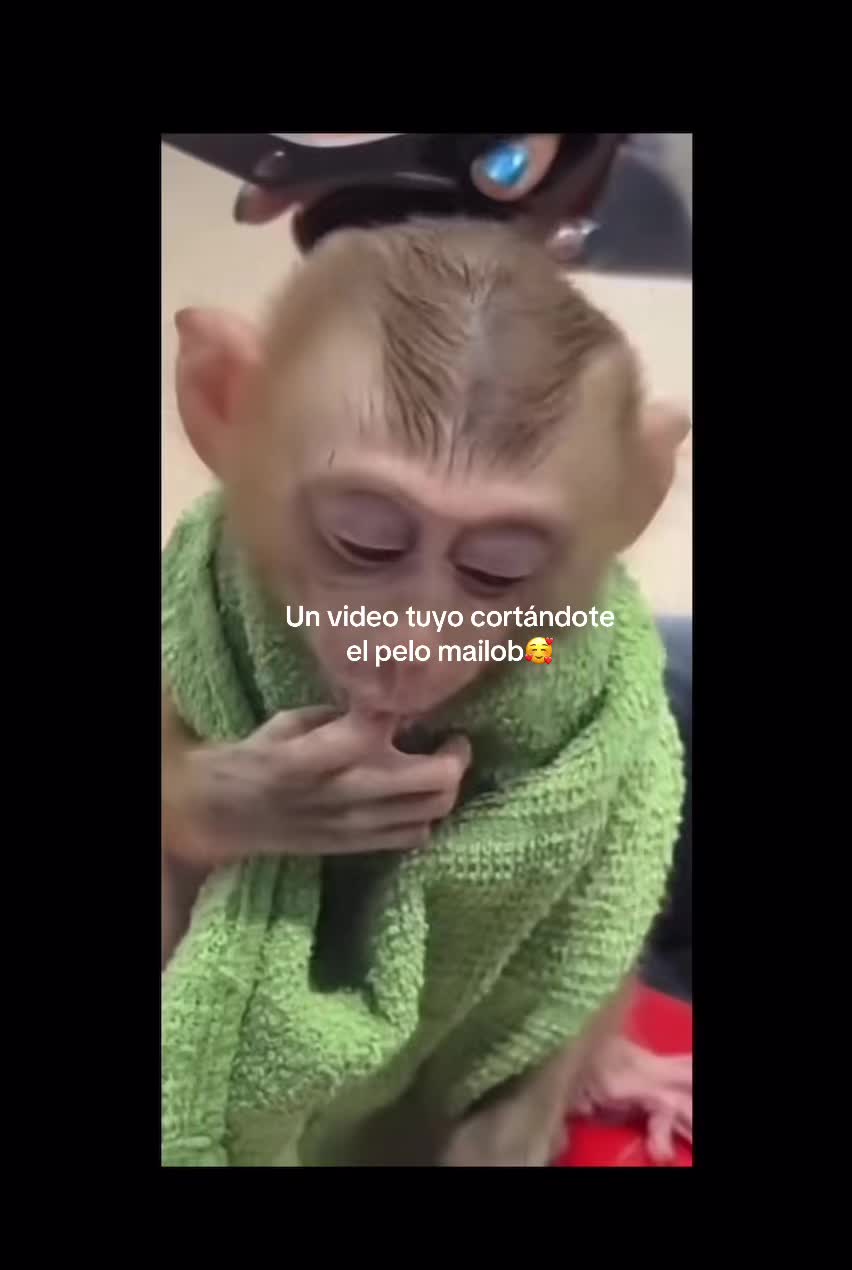 @jaremonox