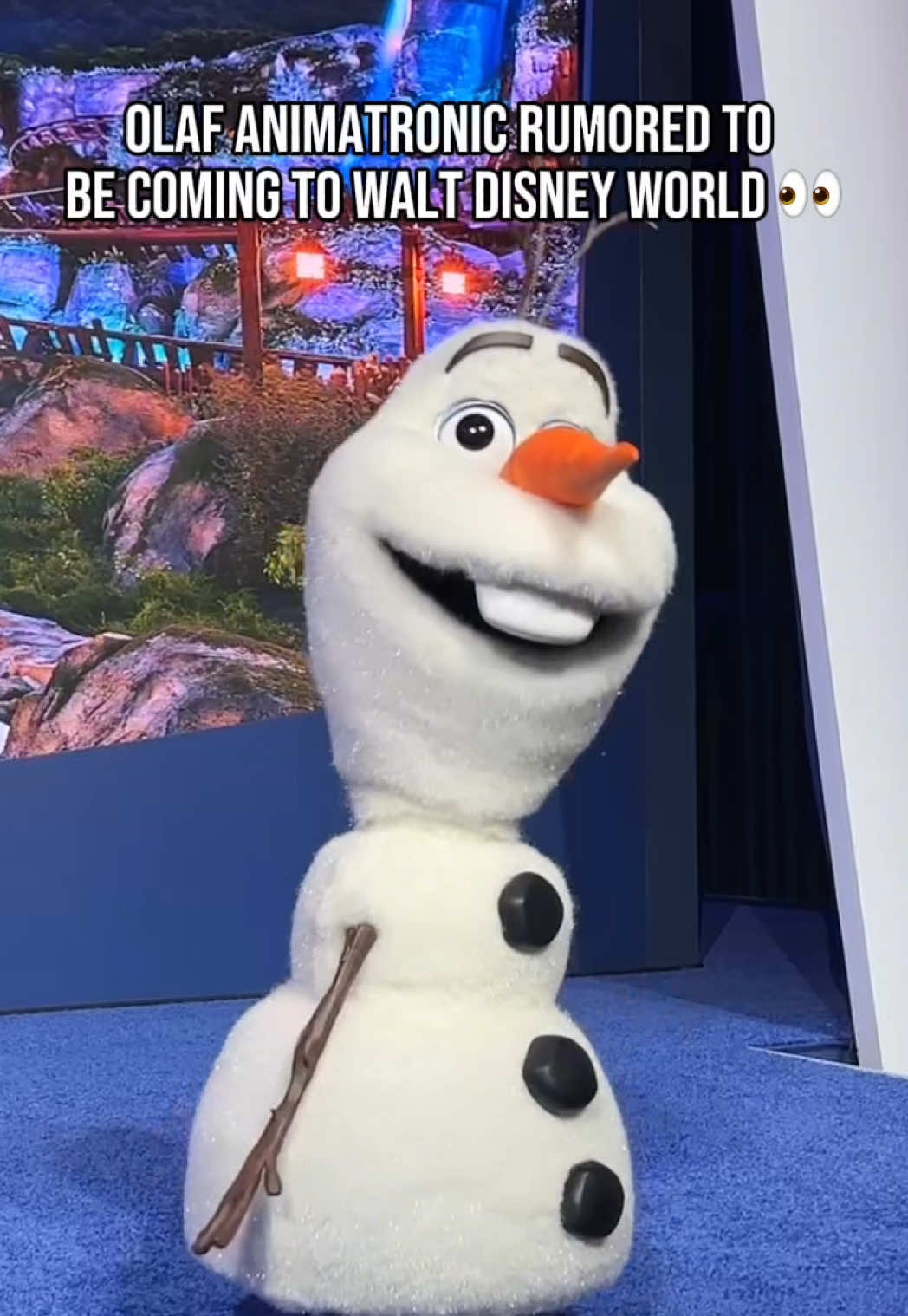 @TheKingdomInsider