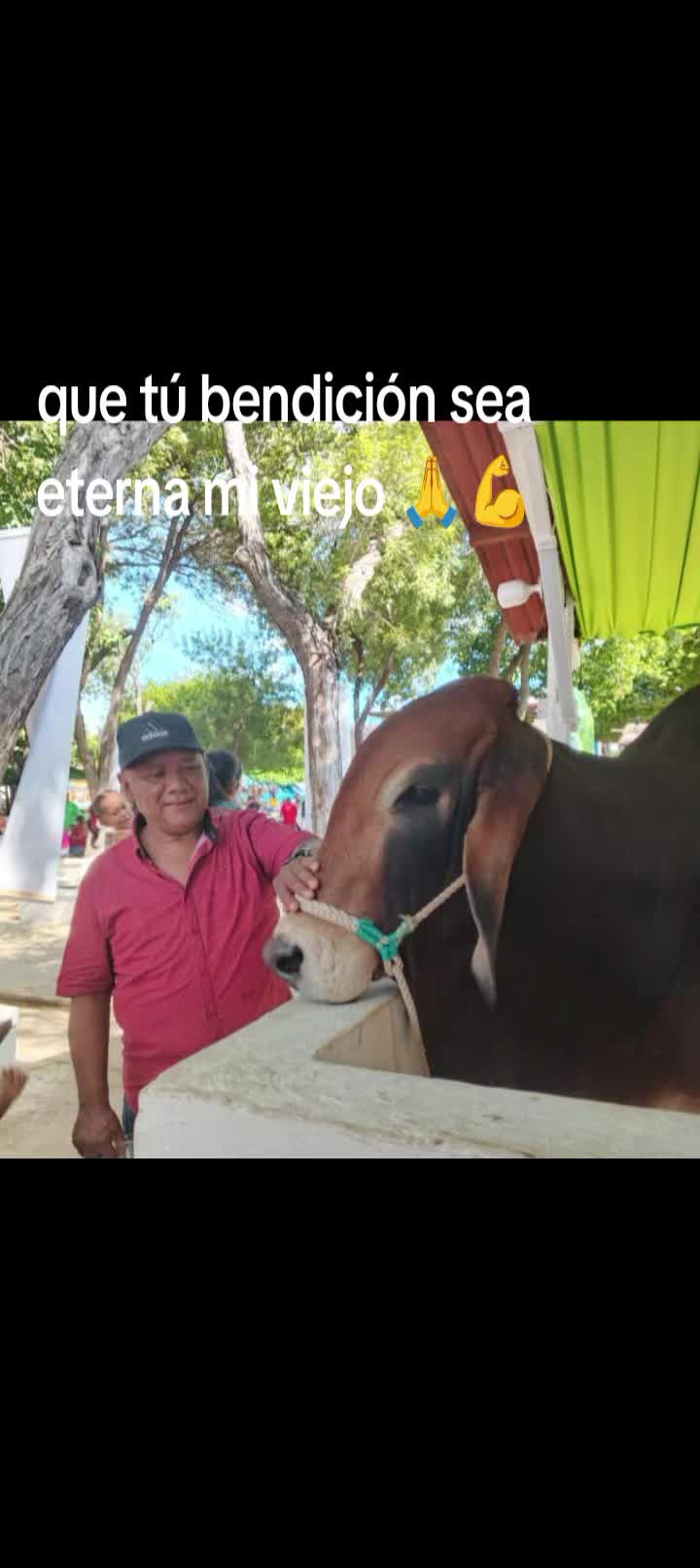 @Ernesto finol 🥵💯