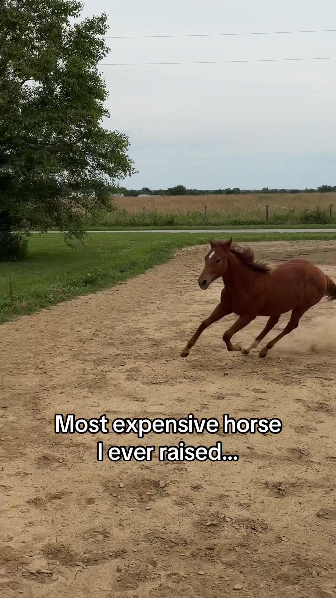 @Amber&ensp;Morris