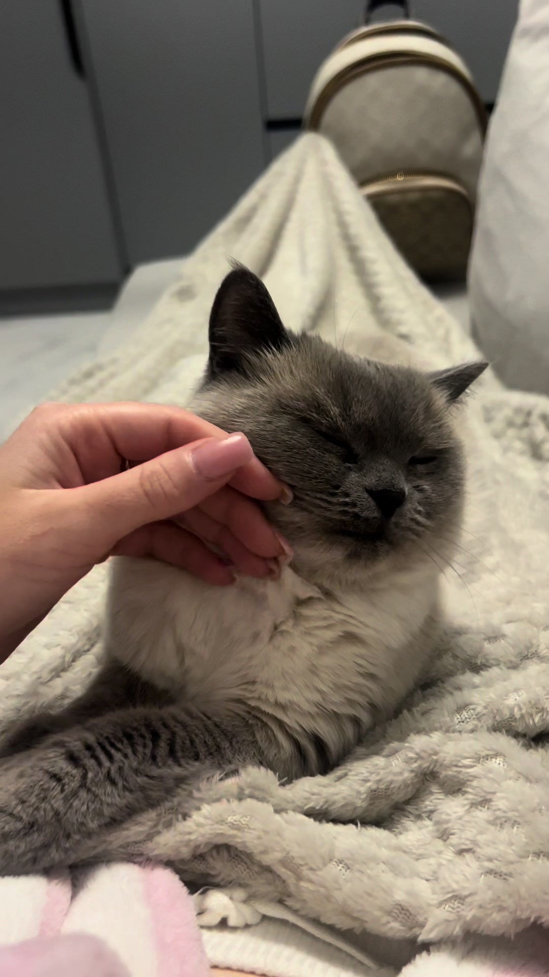 @Трускавецька киця 😻