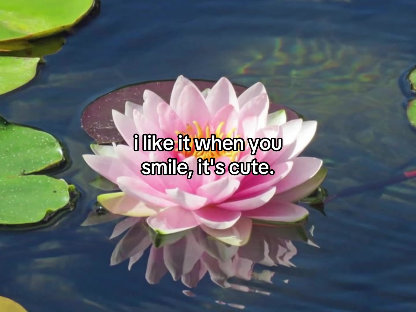@flowercorrre