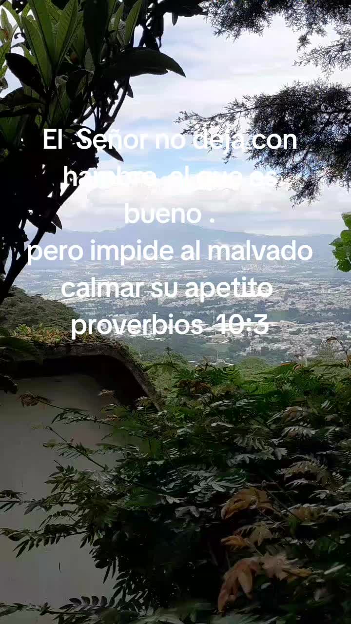 @Fernando Meneses