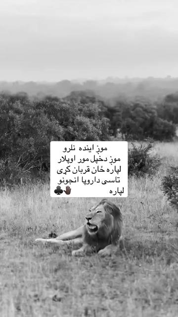 @🥷🏿کــــپــــچــــه🥷🏿