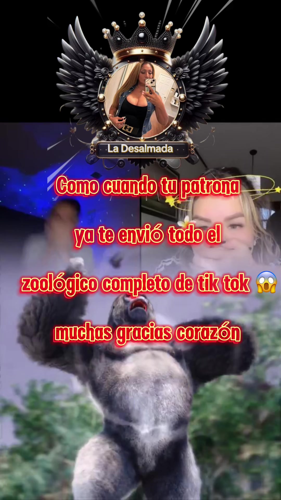 @Amilcar_mancia🐍🖤