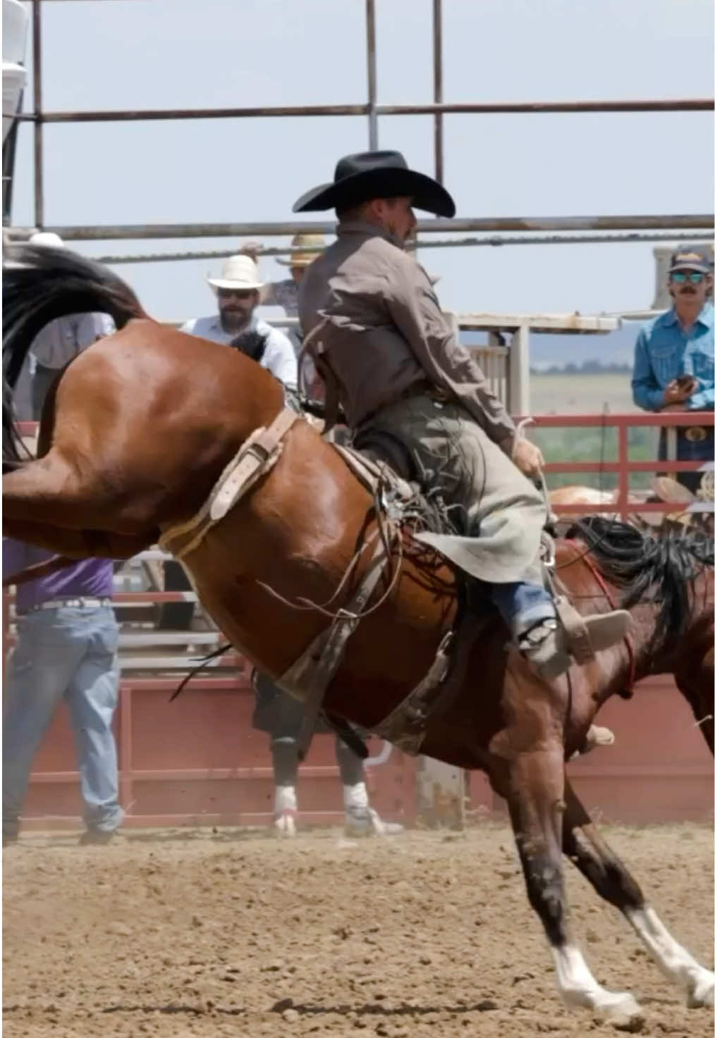 @cowgirlcommentary