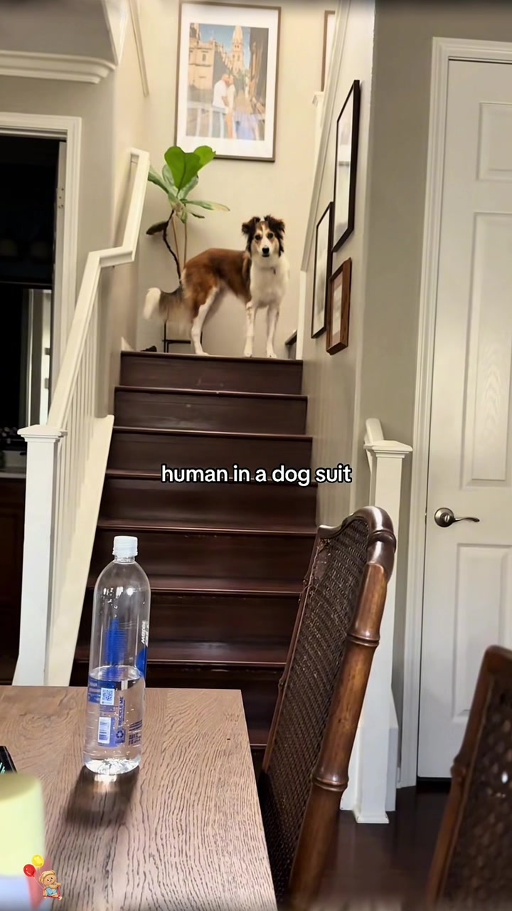 @SneakyFails