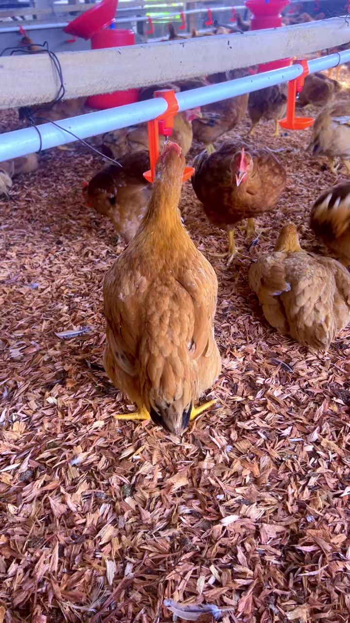@evansjobsfarms
