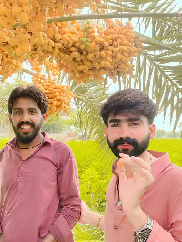 @shoaib arain 💛