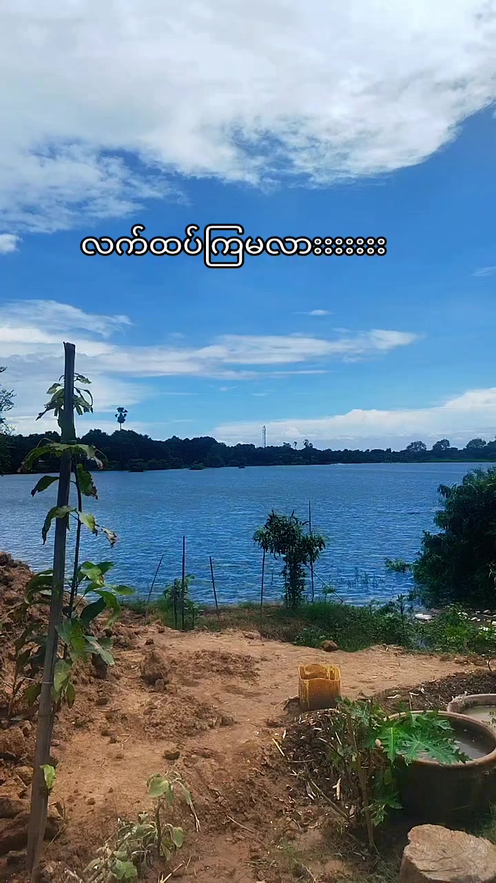 @16.2 đ