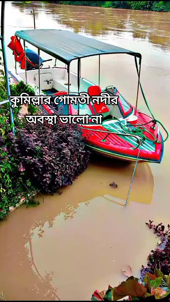 @Nayeem