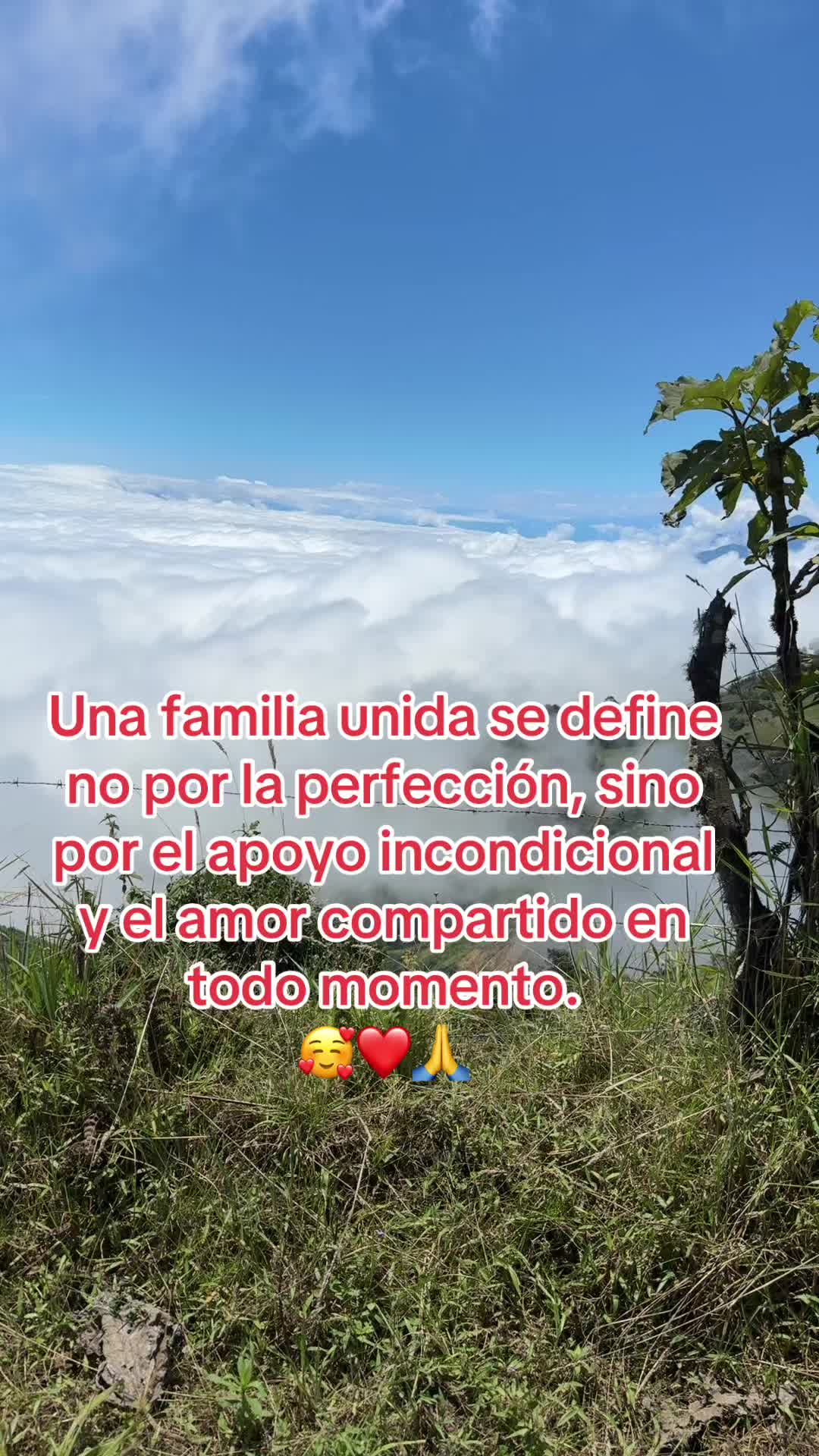 @Kata🖤🩷