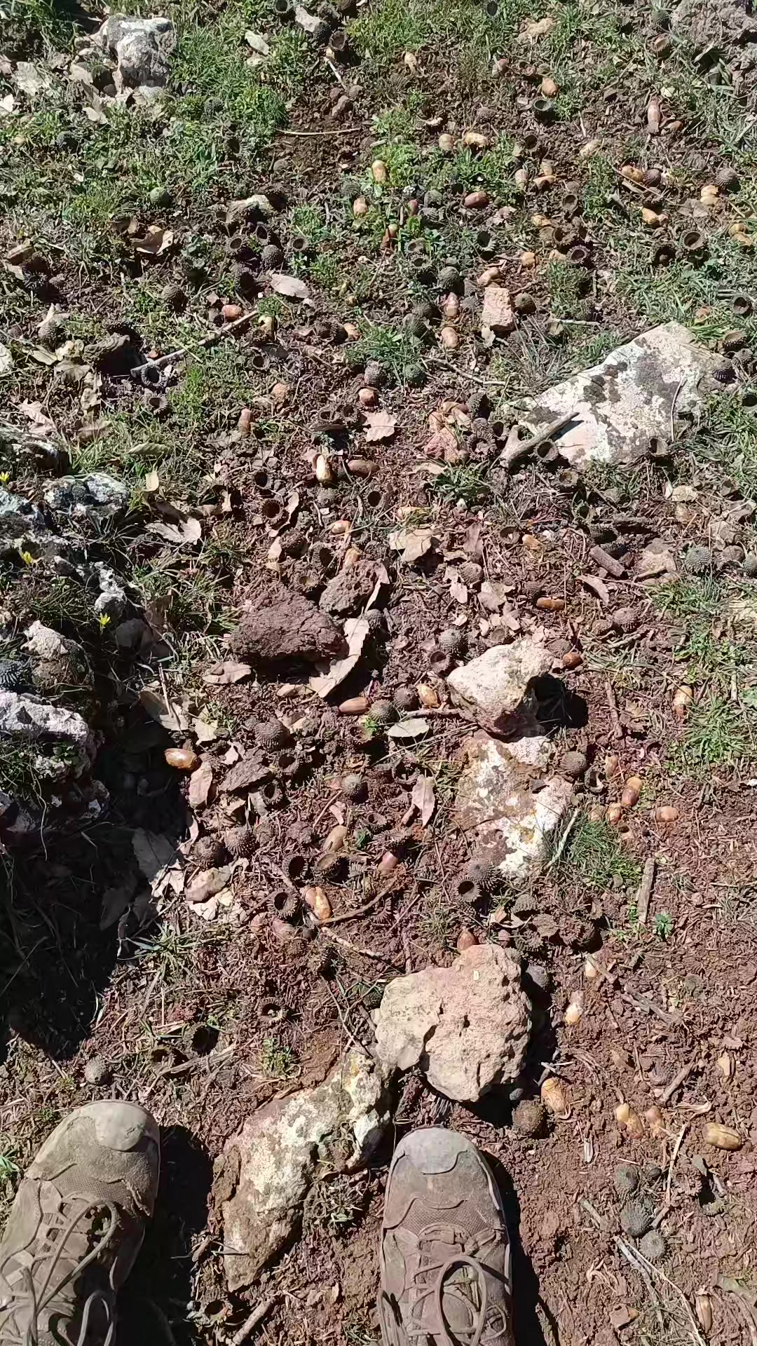 @Abdurrahim gül