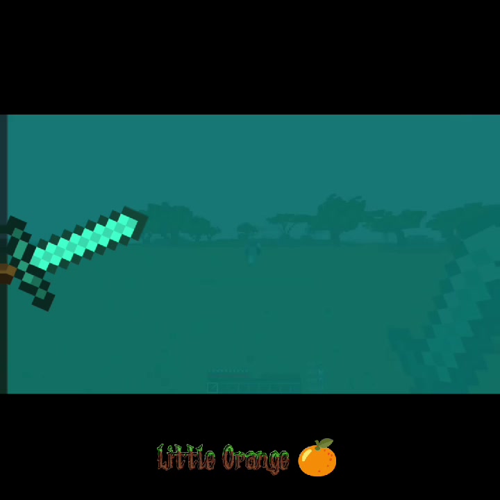 @Little Orange 🍊