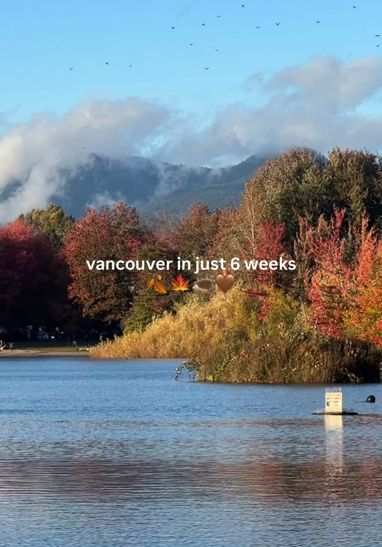 @valeriya / валерия